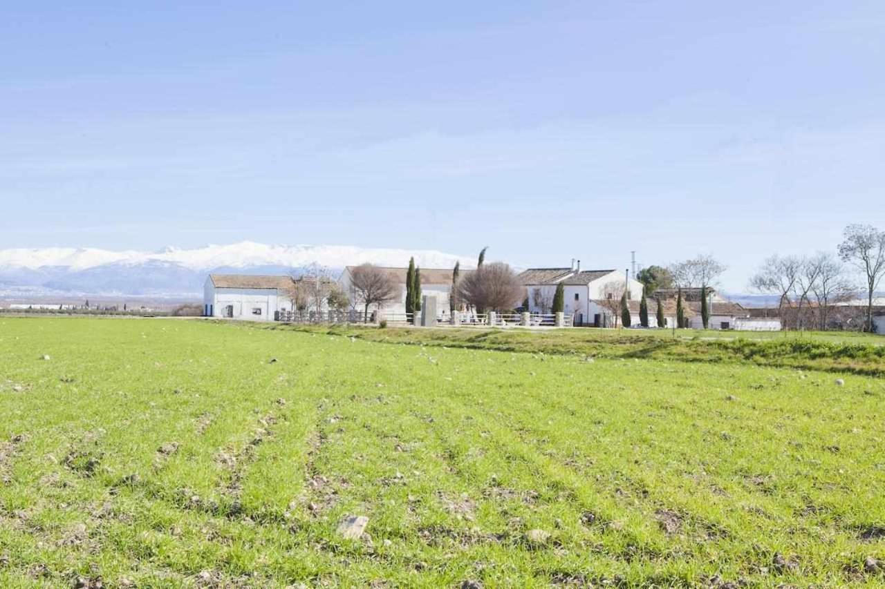 El Cortijuelo