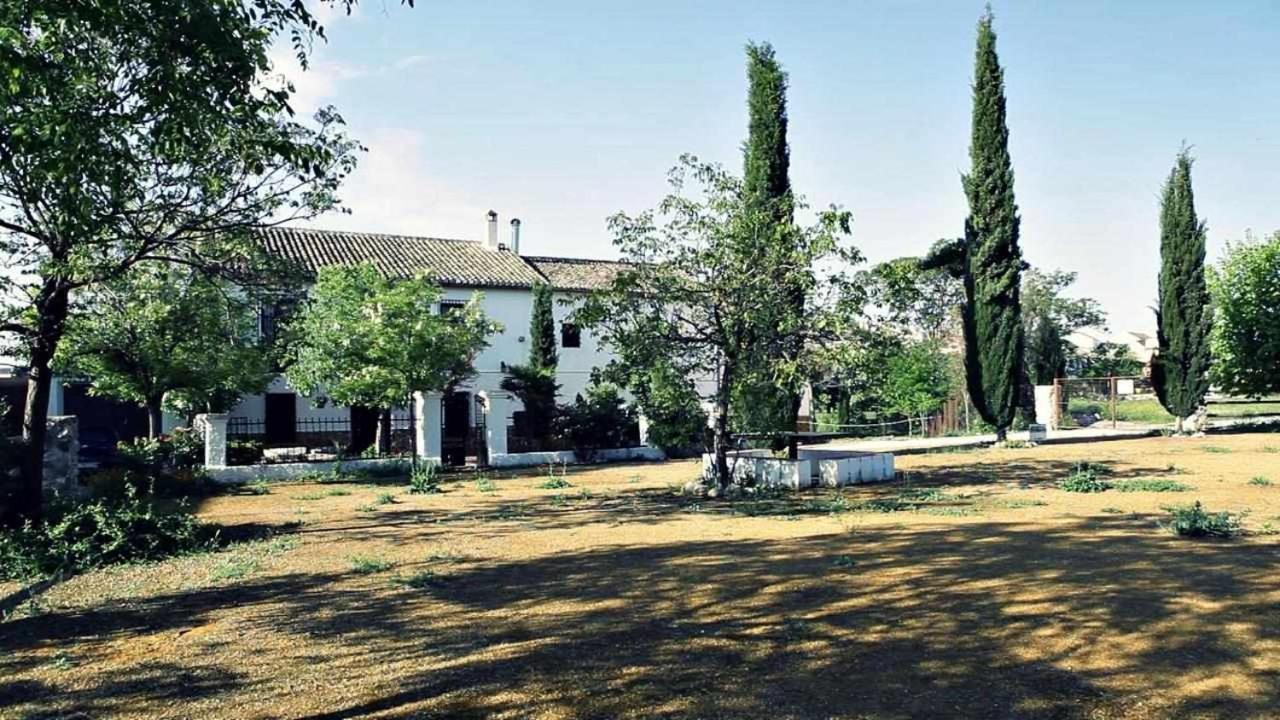 El Cortijuelo *