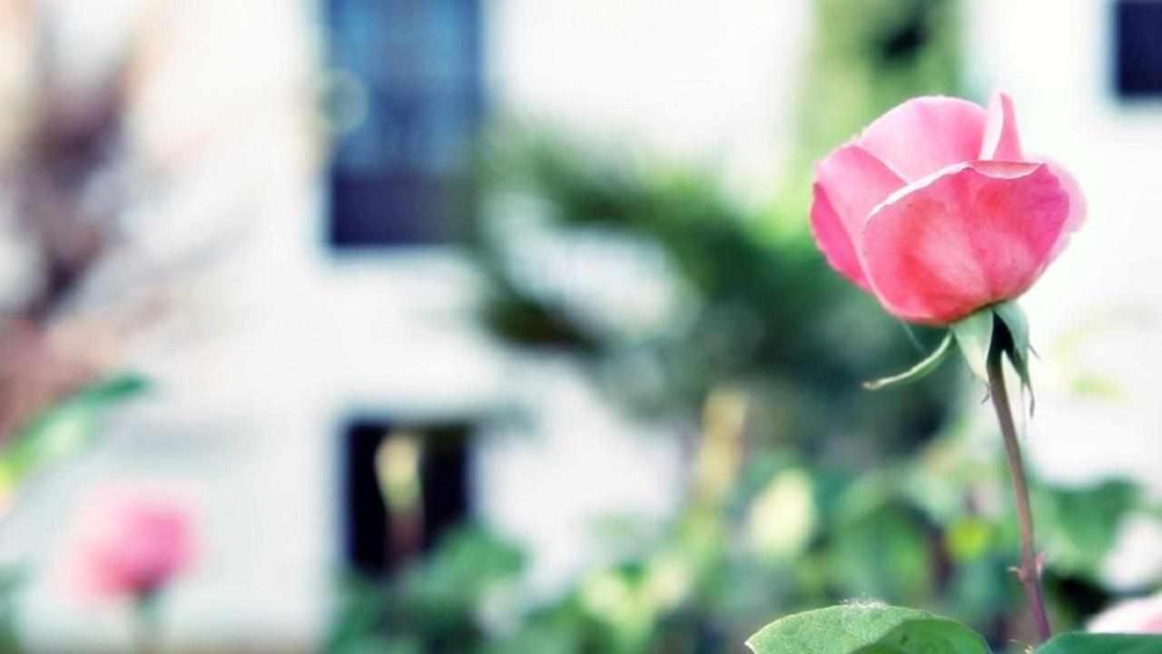 Hébergement de vacances El Cortijuelo *