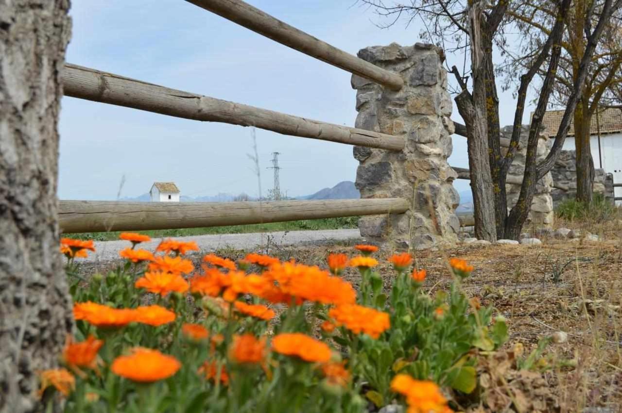 Hébergement de vacances El Cortijuelo Escoznar